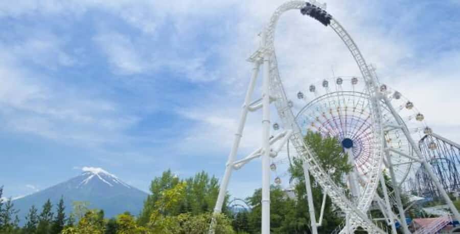 Fuji-Q Highland Amusement Park: 1 Day private tour by Car - Group size and pacing: up to 10 participants