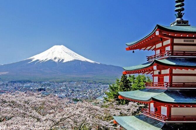Fuji Speedway Self Drive & Mt. Fuji Private Tour pickup & dropoff - Key highlights not to miss