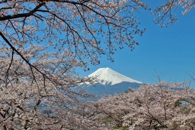Fuji Speedway Self Drive & Mt. Fuji Private Tour pickup & dropoff - Price and value: is $292.64 per person fair for this day?