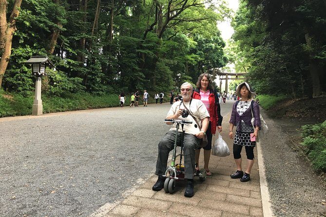 Full-Day Accessible Tour of Tokyo for Wheelchair Users - Trains and transfers: why the logistics matter as much as the sights