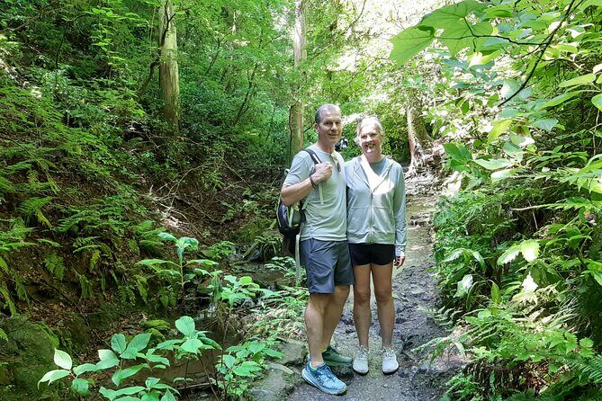 Full Day Hiking Tour at Mt.Takao including Hot Spring - Why Mt. Takao Works as a Tokyo Day (Not a Whole-Week Project)