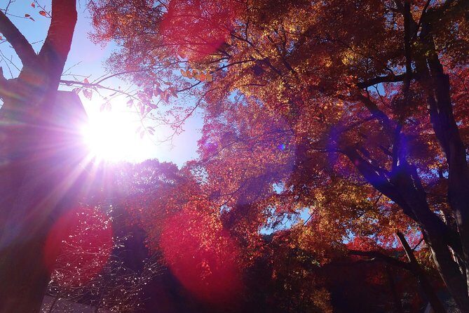 Full Day Hiking Tour at Mt.Takao including Hot Spring - Temple Stop: Yakuo-in Yuki-ji and the Sacred-Mountain Mood