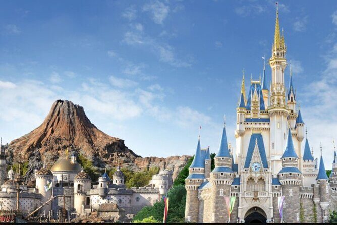 Full Day Private Guided Photographer and Driver in Tokyo Disney - Key things to know before you go
