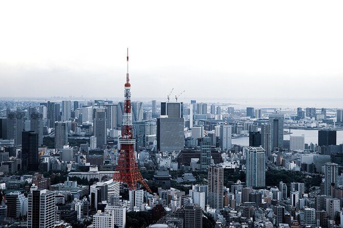 Full-Day Private Tour to Discover The Best of Tokyo - Comfort matters: private transport and why it changes everything