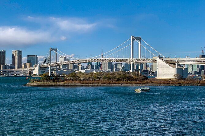 Full-Day Private Tour to Discover The Best of Tokyo - The big upside: a day that gives you Tokyo’s contrasts