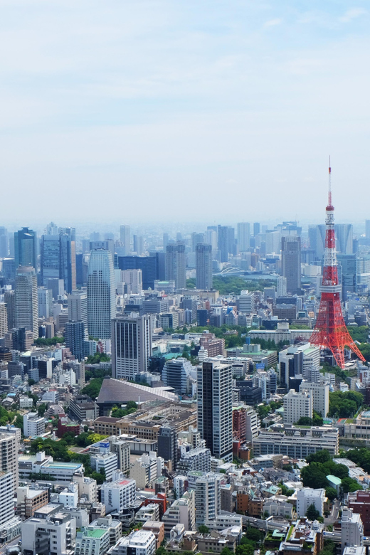 Full-Day Private Tour to Discover The Best of Tokyo - Price and logistics: what you’re paying for