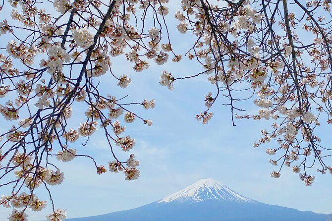 Full Day Private Tour to Mt Fuji by Luxury Vehicle - Oshino Hakkai: thatch roofs and the eight spring ponds