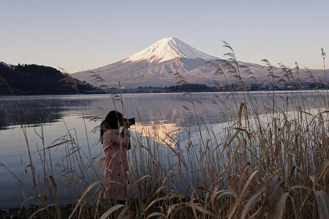 Full Day Private Tour to Mt Fuji by Luxury Vehicle - Houtou Fudou: lunch-style noodles without committing to a whole restaurant day