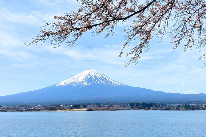 Full Day Private Tour to Mt Fuji by Luxury Vehicle - Saiko Iyashi no Sato Nemba: traditional homes by Lake Saiko