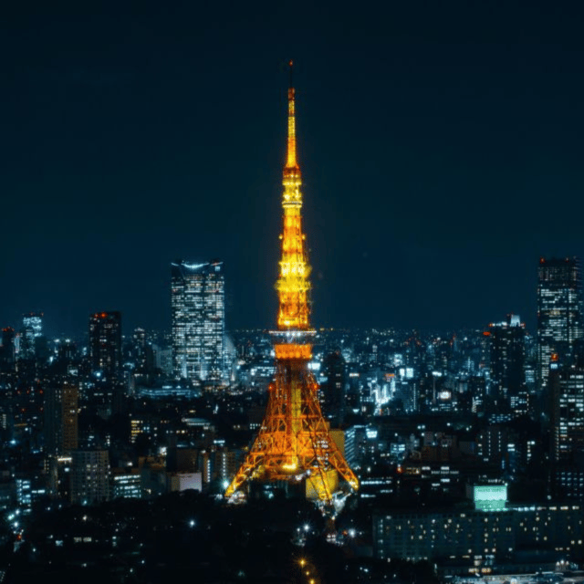 Full Day Tokyo City Private Tour Sightseeing Full Customised - Key highlights worth your attention
