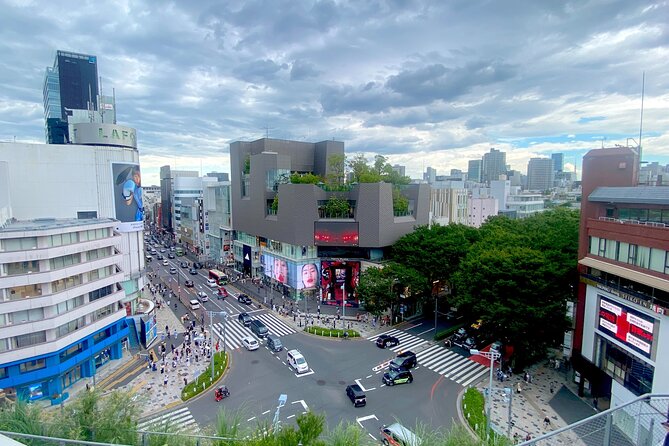 Full Day Tokyo Private Tour by Luxury Vehicle - Stop 4: Imperial Palace outer gardens area (short but scenic)