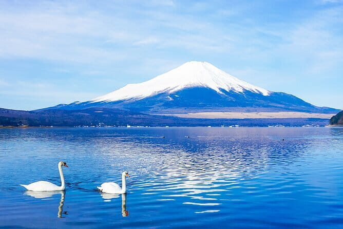 Full Day Tour at Mt. Fuji, Onsen, Lake Kawaguchi and Yamanaka - Key highlights you’ll actually feel