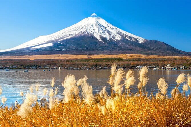 Full Day Tour at Mt. Fuji, Onsen, Lake Kawaguchi and Yamanaka - The real appeal: Fuji and onsen with less stress
