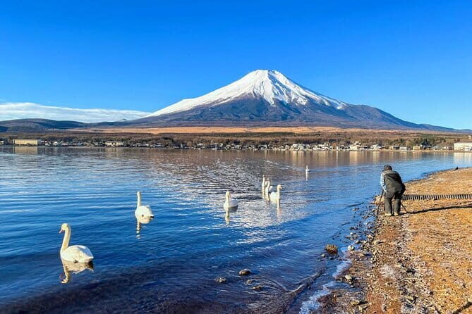 Full Day Tour at Mt. Fuji, Onsen, Lake Kawaguchi and Yamanaka - Lake Yamanaka: swans, a hot spring choice, and a real trade-off