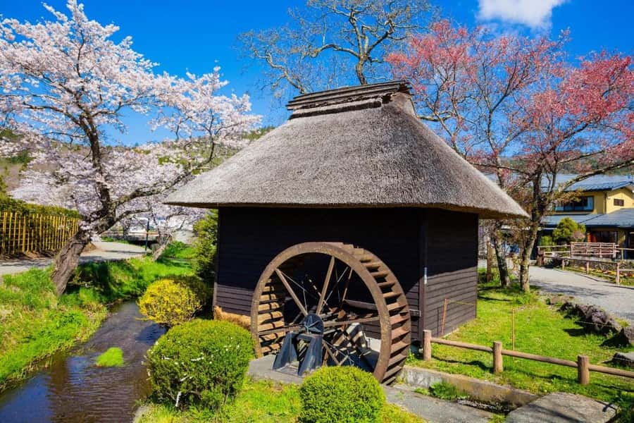 Full-Day Tour to the Picturesque Spots of Mount Fuji - From Tokyo to Mount Fuji: how the day actually flows