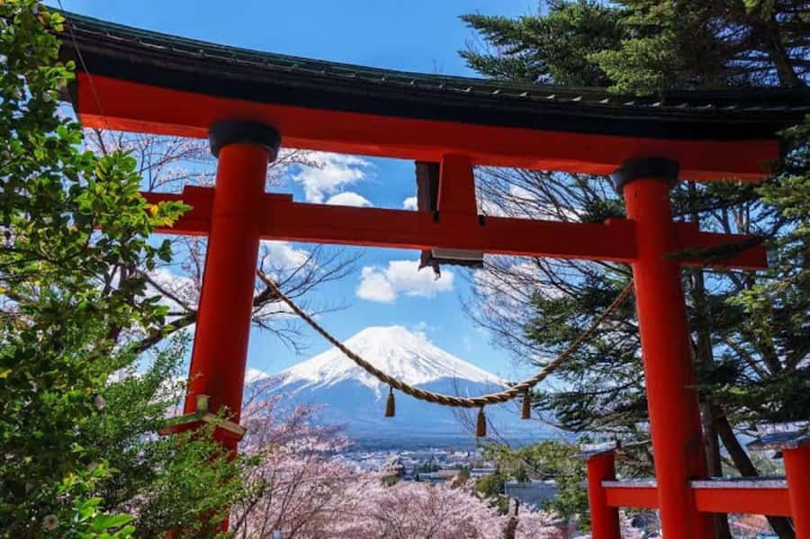 Full-Day Tour to the Picturesque Spots of Mount Fuji - Oshino Hakkai (UNESCO): clear springs you can taste
