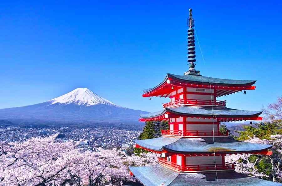 Full-Day Tour to the Picturesque Spots of Mount Fuji - The photo plan: where to spend time and how to avoid stress
