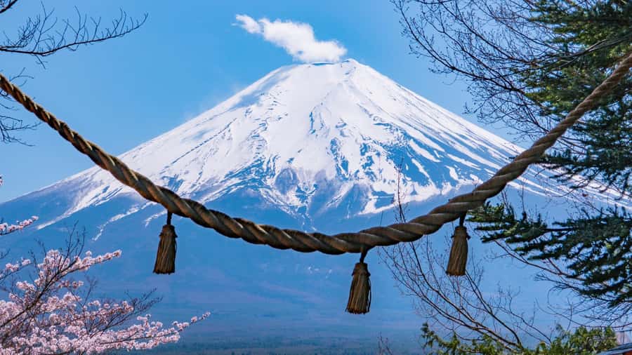 Full-Day Tour to the Picturesque Spots of Mount Fuji - Price and value: what $49 gets you (and what it doesn’t)