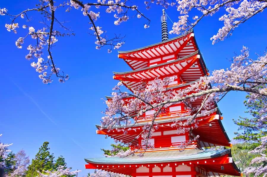 Full-Day Tour to the Picturesque Spots of Mount Fuji - Small comfort and logistics that matter on a Fuji day