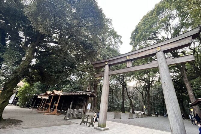 Full Day Walking Tour in Shinjuku and Shibuya - Shinjuku Gyoen National Garden: tea, matcha, wagashi, and breathing room