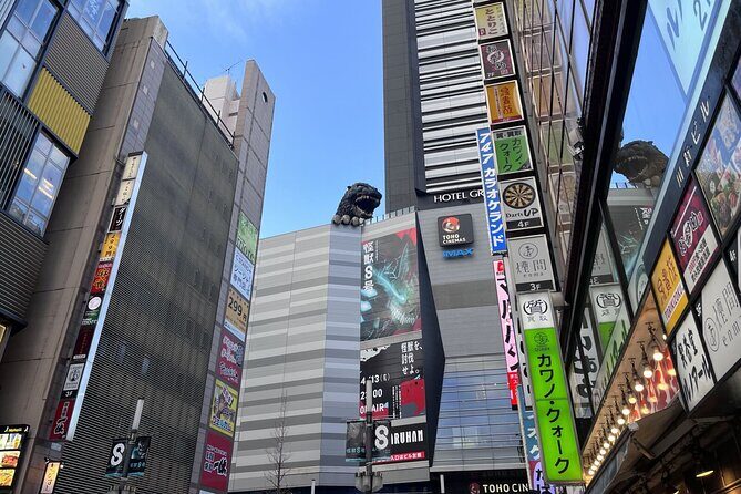 Full Day Walking Tour in Shinjuku and Shibuya - Price and logistics: what you’re really paying for