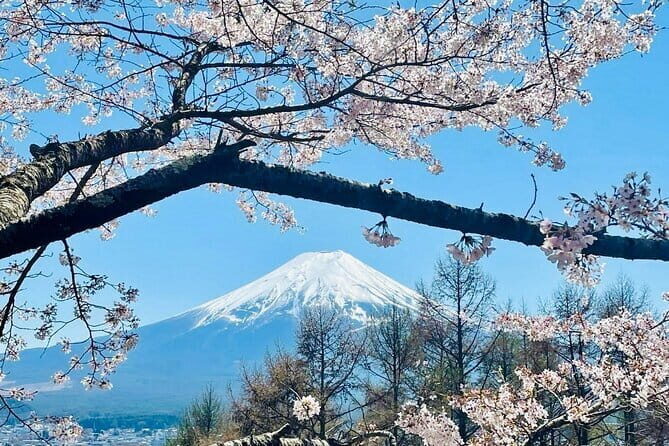 Full Guided Mt. Fuji & Hakone Attractive Private Day Tour - Why this private Fuji and Hakone day beats DIY for many people