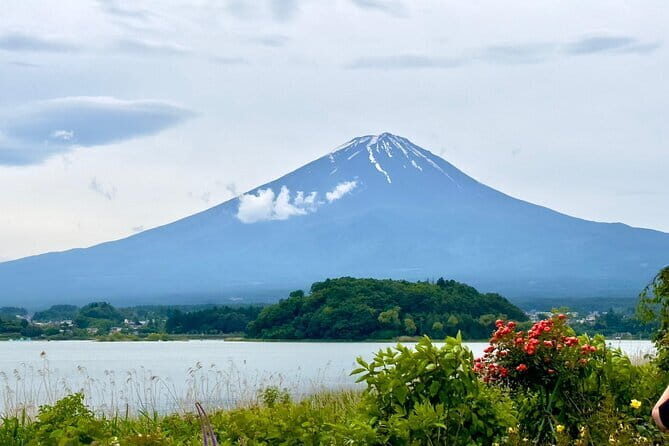Full Guided Mt. Fuji & Shiba-Sakura Festival One Day Pvt.Tour - Private Mt. Fuji day trip from Tokyo: what you’re really paying for