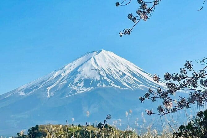 Full Guided Mt. Fuji & Shiba-Sakura Festival One Day Pvt.Tour - Stop 5: Lake Kawaguchiko (2 hours) for boat time and big reflections