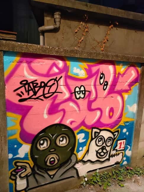 Graffiti in Tokyo Walking Tour: Shibuya and Harajuku - Practical value: price, time, and what you really get