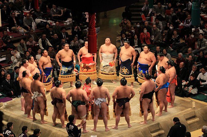 Grand Sumo Tournament Tour w/an English Guide ,Tokyo January 2026 - The Sumo Museum Stop: Context That Makes the Arena Click