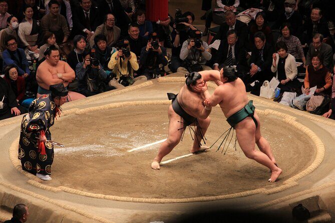 Grand Sumo Tournament Tour w/an English Guide ,Tokyo January 2026 - Weather and Date Reality for January Sumo