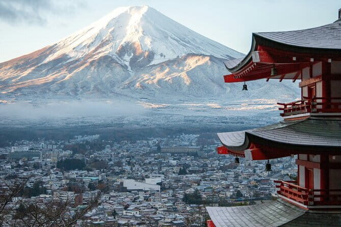 Guided Tsukiji’s Local Food Tour - From Namiyoke Shrine to your next stop