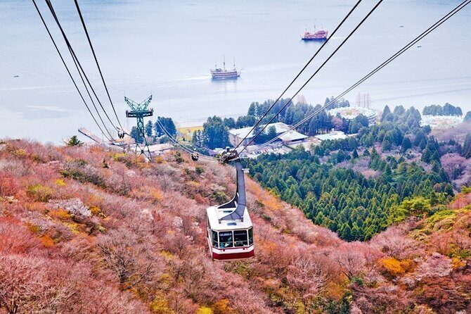 Hakone and Mt Fuji Private Custom Tour with English Guide - Oshino Hakkai: Fuji snowmelt ponds you can walk around