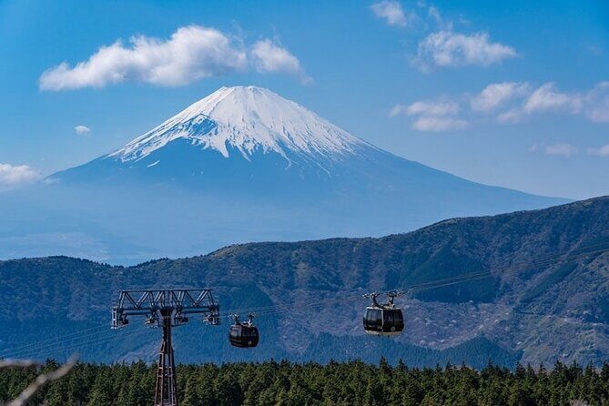 Hakone and Mt Fuji Private Custom Tour with English Guide - Optional caves, caves, and more: Narusawa Ice Cave and Fugaku Wind Cave