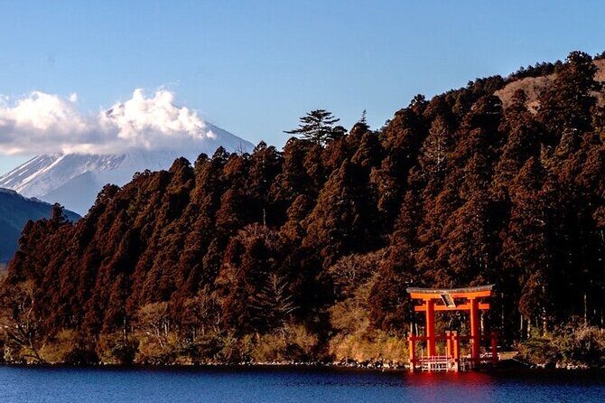 Hakone and Mt Fuji Private Custom Tour with English Guide - Hakone Owakudani: black eggs and the ropeway shortcut to volcano views