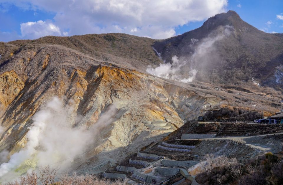 Hakone: Customizable Full Day Tour with Private Transfer - Lake Ashi and Hakone Shrine for classic Hakone views