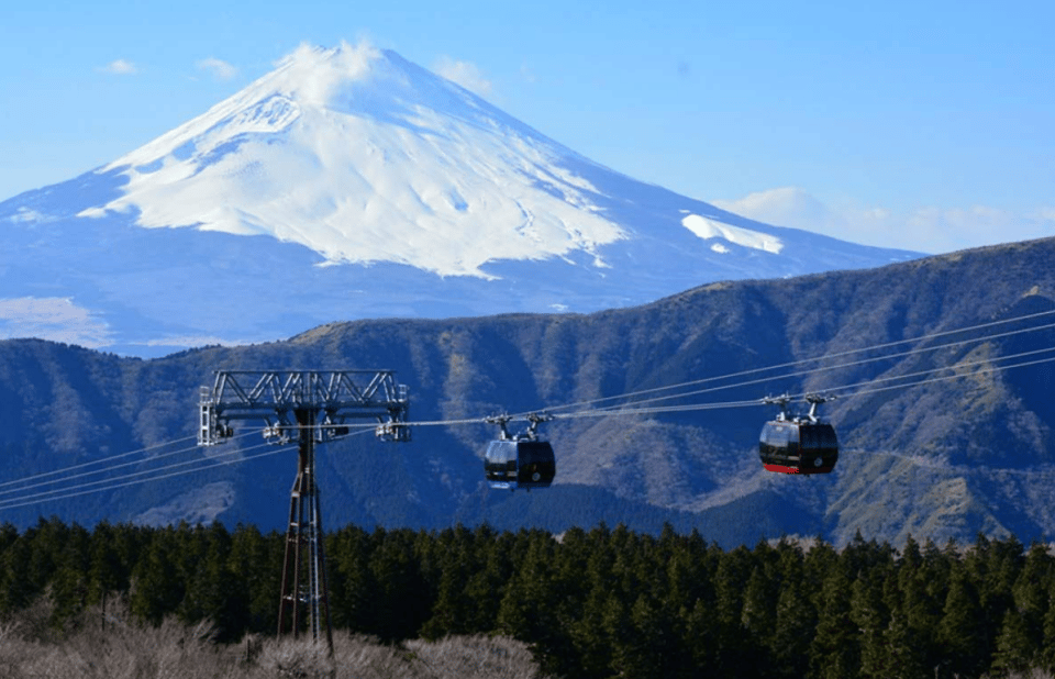 Hakone: Customizable Full Day Tour with Private Transfer - Value check: is $309 per person worth it?