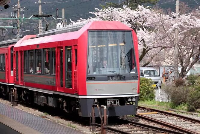 Hakone Free Pass, 2-3 Days Travel Voucher Japan - Price and value: when this pass beats buying one-off tickets