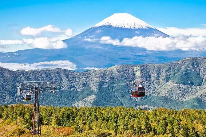 Hakone Free Pass, 2-3 Days Travel Voucher Japan - Cable car + Ropeway day: big views, big lines
