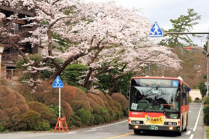 Hakone Free Pass, 2-3 Days Travel Voucher Japan - Lake Ashi by cruise: where the pass feels worth it