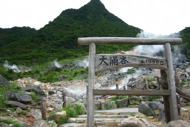 Hakone Free Pass, 2-3 Days Travel Voucher Japan - Buses and side trips: where the 8 networks actually help
