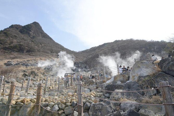 Hakone Full-Day Private Tour(Tokyo DEP.) with Government-Licensed Guide - Private, government-licensed guide: what you gain on day-of
