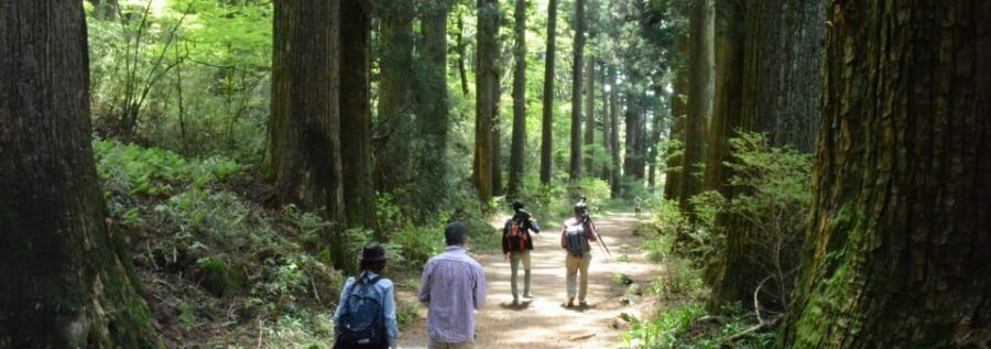 Hakone Geology & History Tour - Key Highlights You’ll Feel During This Hakone Day