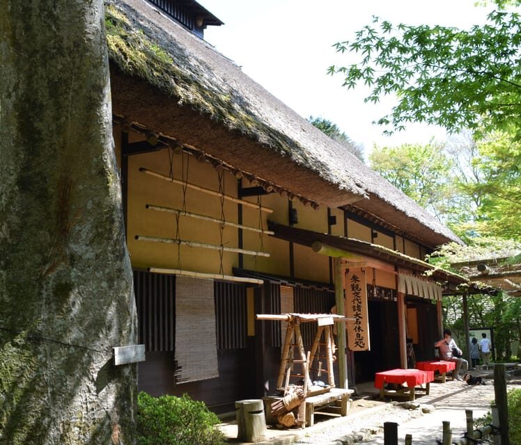 Hakone Geology & History Tour - Hakone’s Active Caldera: The Story Starts Before the Ropeway