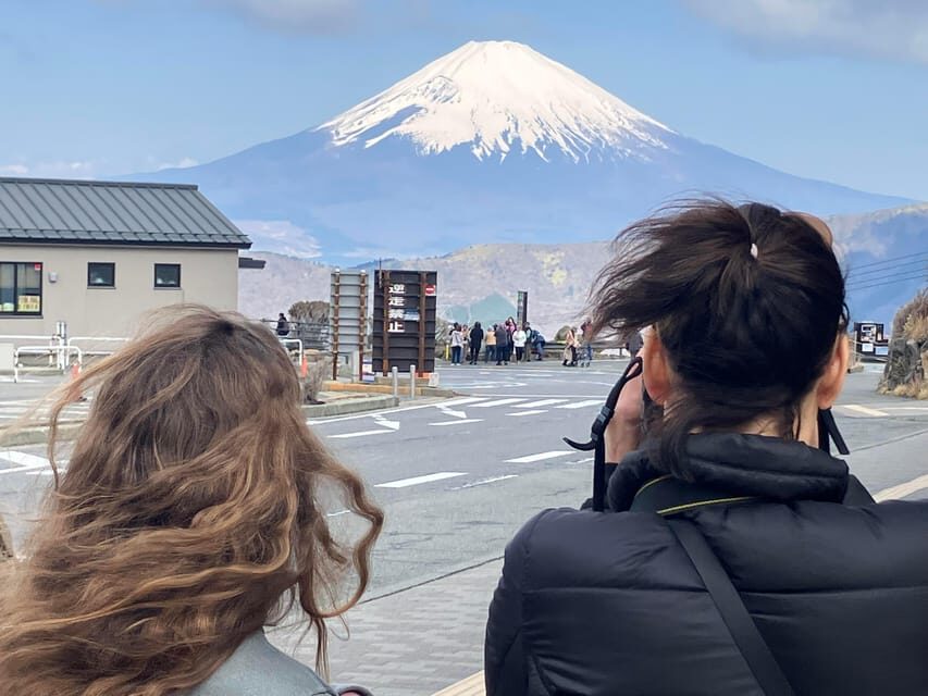 Hakone Geology & History Tour - Should You Book This Hakone Geology and History Tour?