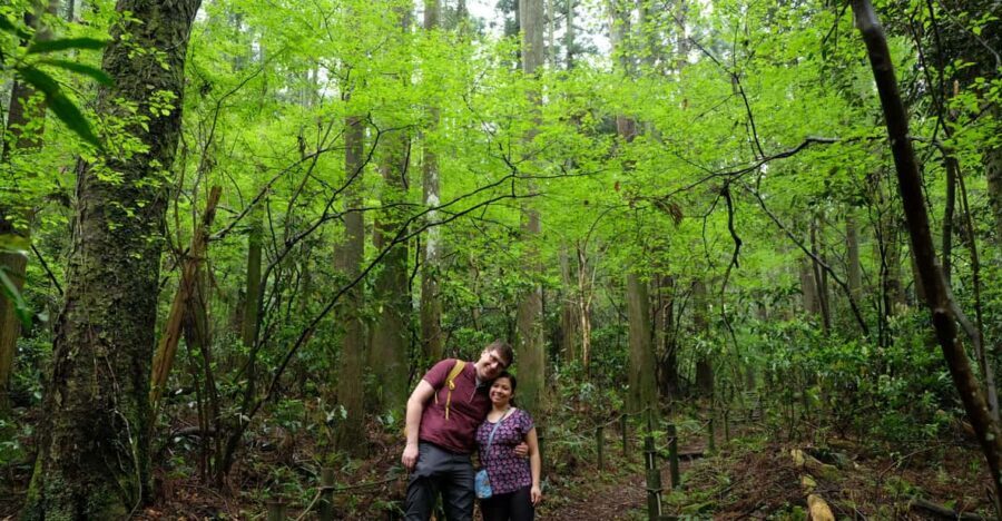 Hakone Hachiri: Old Tokaido Highway Hiking Half-day tour - Key highlights you’ll actually feel