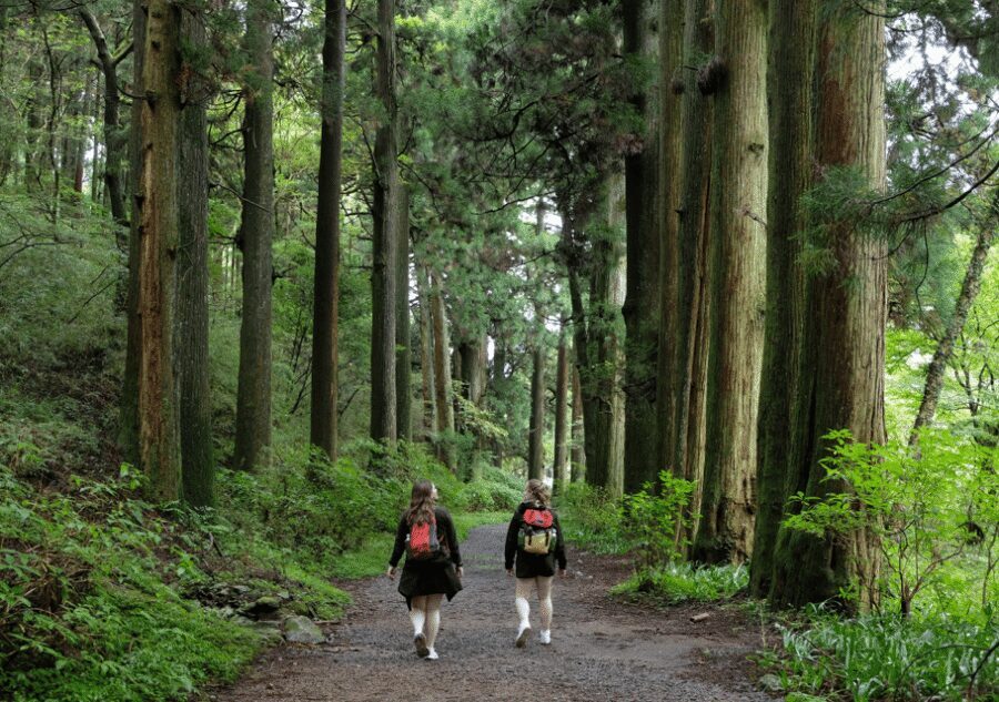 Hakone Hachiri: Old Tokaido Highway Hiking Half-day tour - Price and value: is $112 a fair deal for this half-day?