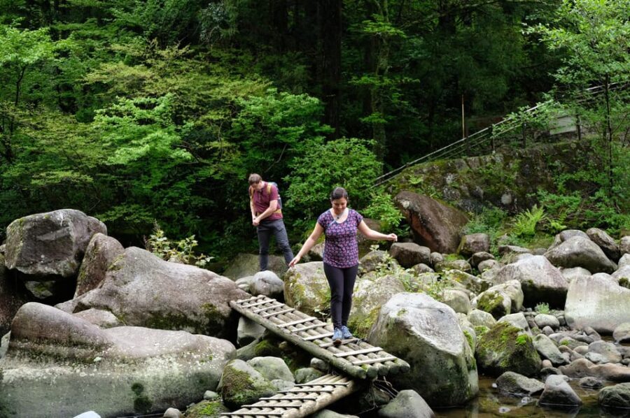Hakone Hachiri: Old Tokaido Highway Hiking Half-day tour - Sukumo River to Hatajuku: nature, then the human side of travel