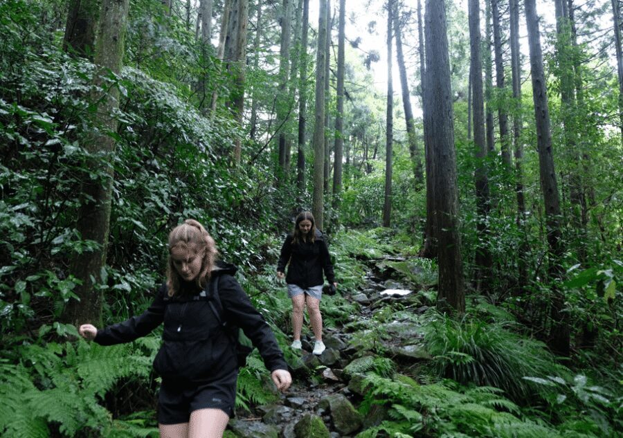 Hakone Hachiri: Old Tokaido Highway Hiking Half-day tour - Lake Ashi pause: photos, torii views, and Mt Fuji if the sky cooperates