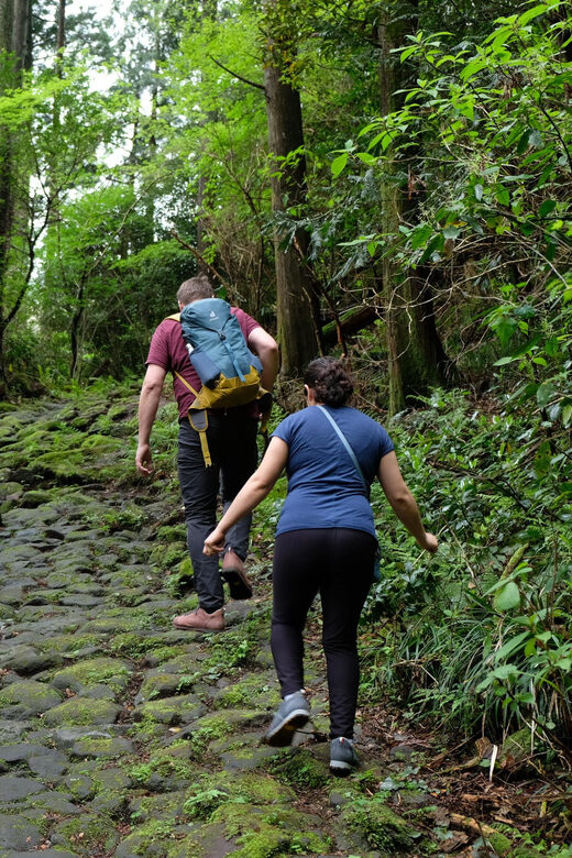 Hakone Hachiri: Old Tokaido Highway Hiking Half-day tour - Hakone Checkpoint: the end of the Edo-era travel story